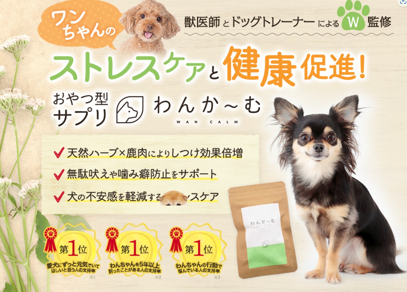 愛犬のしつけに悩む飼い主さんに朗報です。新しいタイプのしつけ用おやつ「わんかーむ」が登場し、それは単なるおやつ以上の価値を持っています。ここでは、「わんかーむ」の特長や、どのようにしてわんちゃんのしつけとストレスケアに役立つのかを詳しく解説します。さらに、購入期間中の無料相談サービスについてもご紹介します。